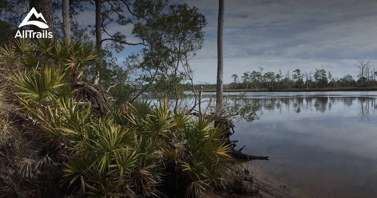 Best Beach Trails in Sopchoppy | AllTrails