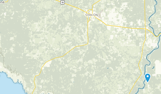 Steinhatchee, Florida Map