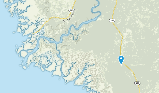 Suwannee, Florida Map