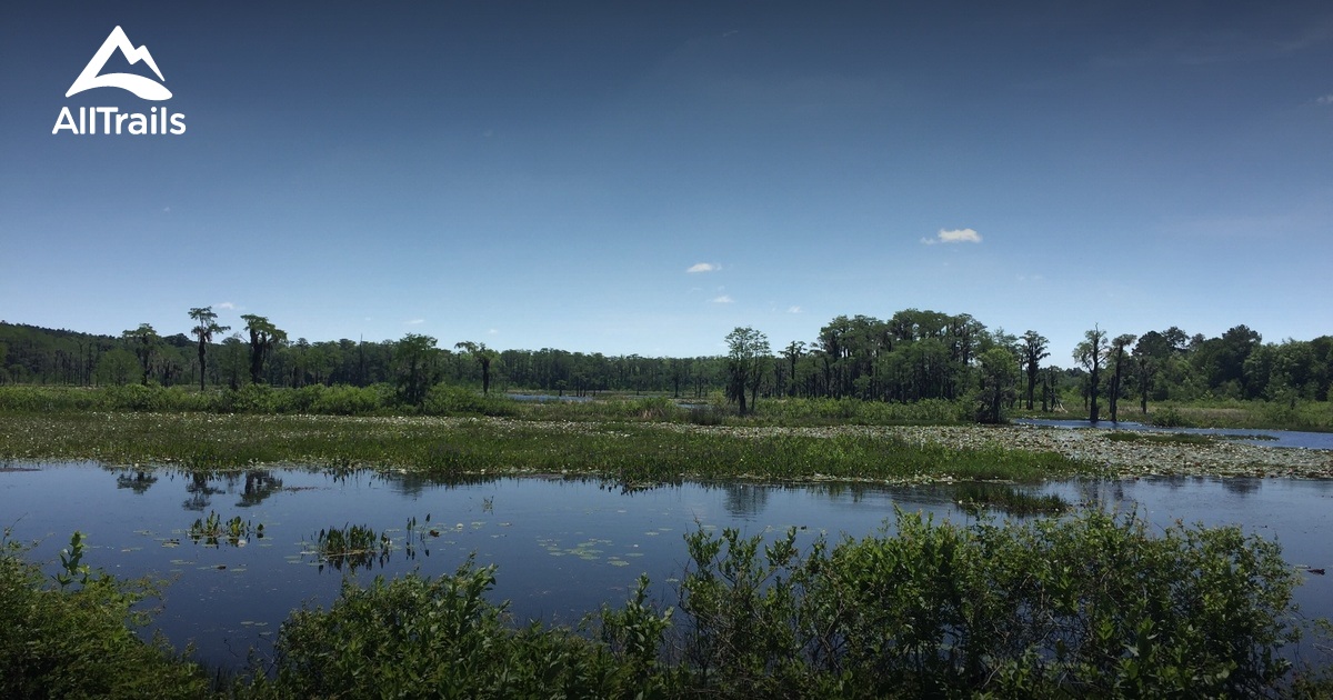 10 Best trails and hikes in Tallahassee AllTrails