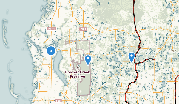 Tarpon Springs, Florida Map