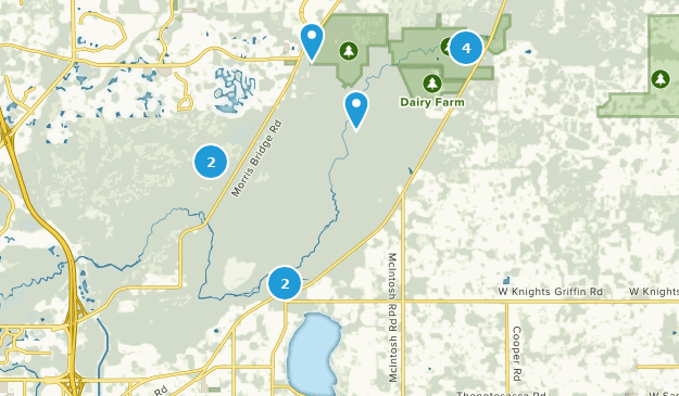 Thonotosassa, Florida Map
