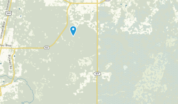 Webster, Florida Map