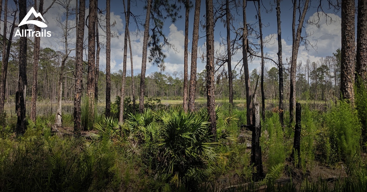 Best hikes and trails in Welaka AllTrails