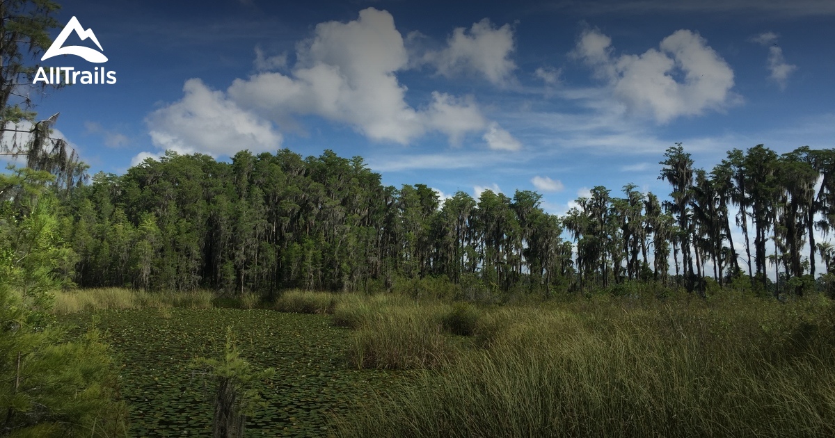 Best Trails near Windermere Florida 135 Photos & 32 Reviews AllTrails