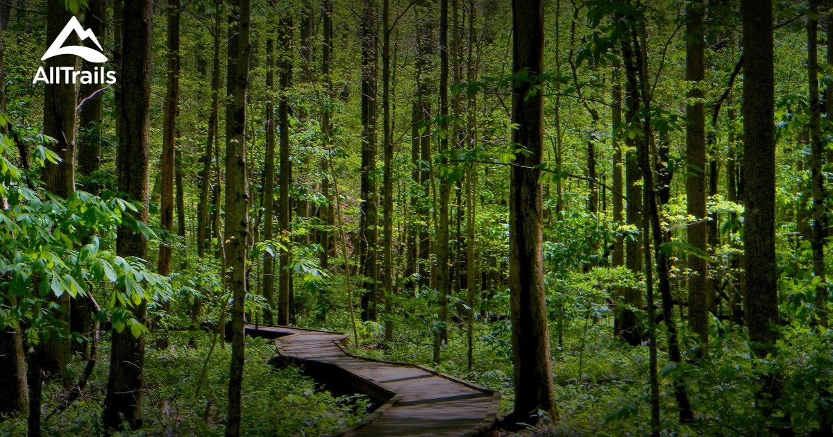 Best Trails near Blue Ridge, Georgia | AllTrails