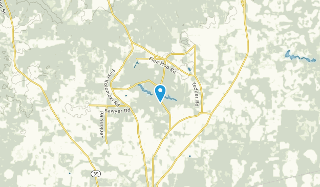 Bluffton, Georgia Map
