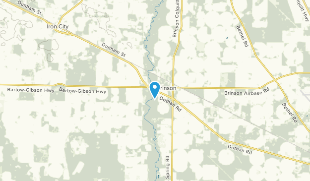 Brinson, Georgia Map
