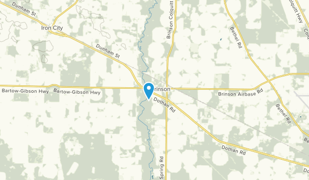 Brinson, Georgia Map