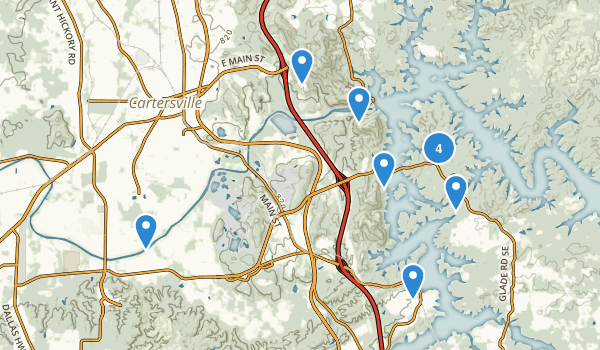 Cartersville, Georgia Map