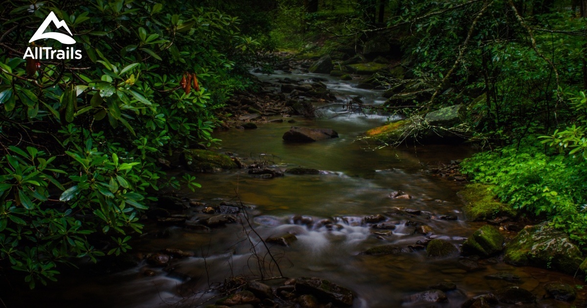 10 Best trails and hikes in Dahlonega AllTrails