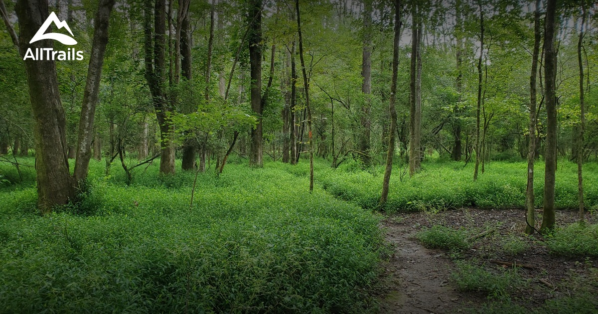 10 Best trails and hikes in Fayetteville AllTrails