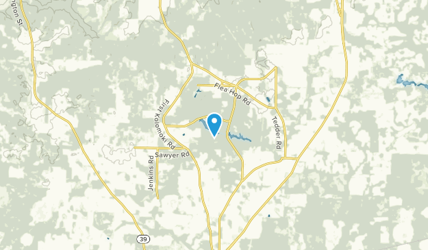 Ferrell Crossroads, Georgia Map
