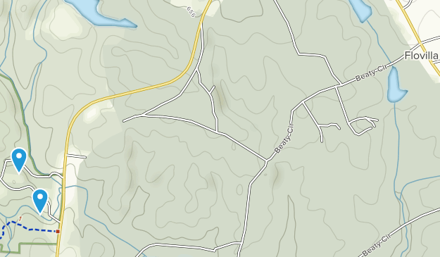 Flovilla, Géorgie Map
