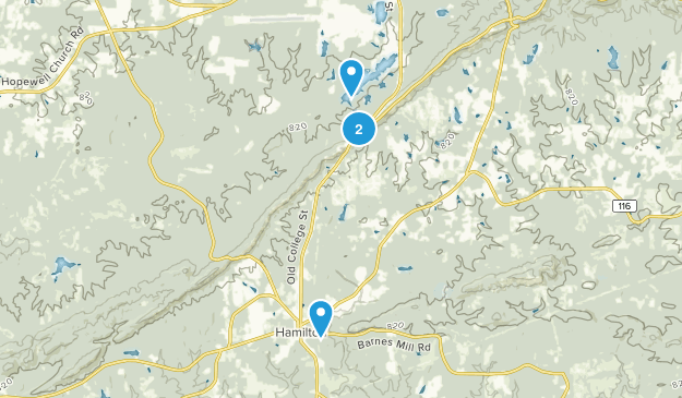 Hamilton, Georgia Map
