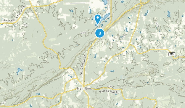 Hamilton, Géorgie Map