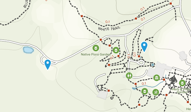 Ivywood, Georgia Map