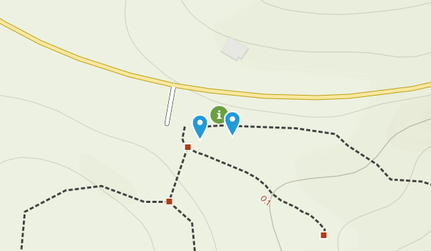 Jasper, Georgia Map