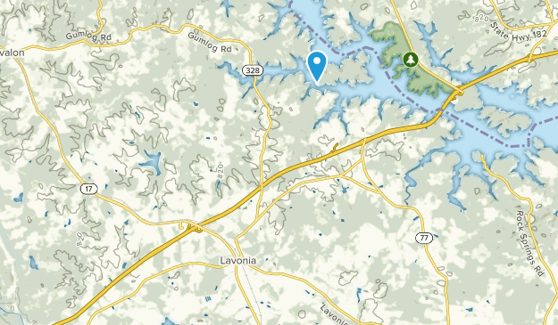 Lavonia, Georgia Map