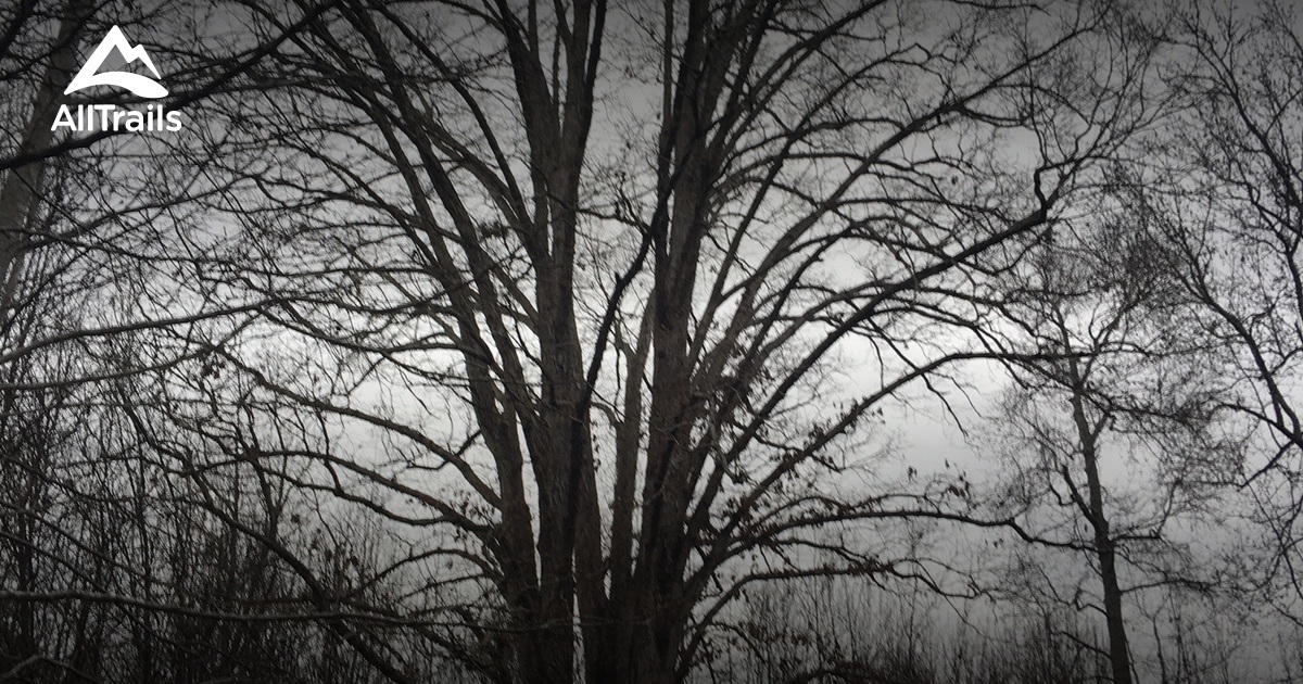 Best hikes and trails in McDonough AllTrails