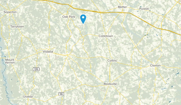 Reidsville, Georgia Map