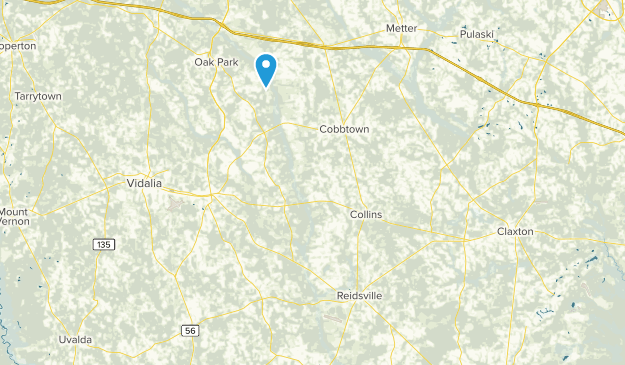 Reidsville, Georgia Map