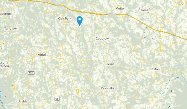 Reidsville, Georgia Map