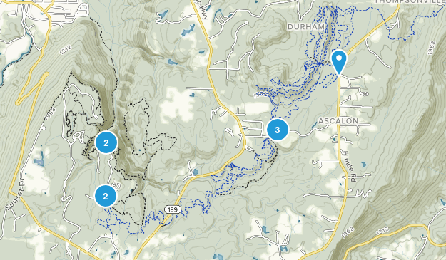 Rising Fawn, Georgia Map