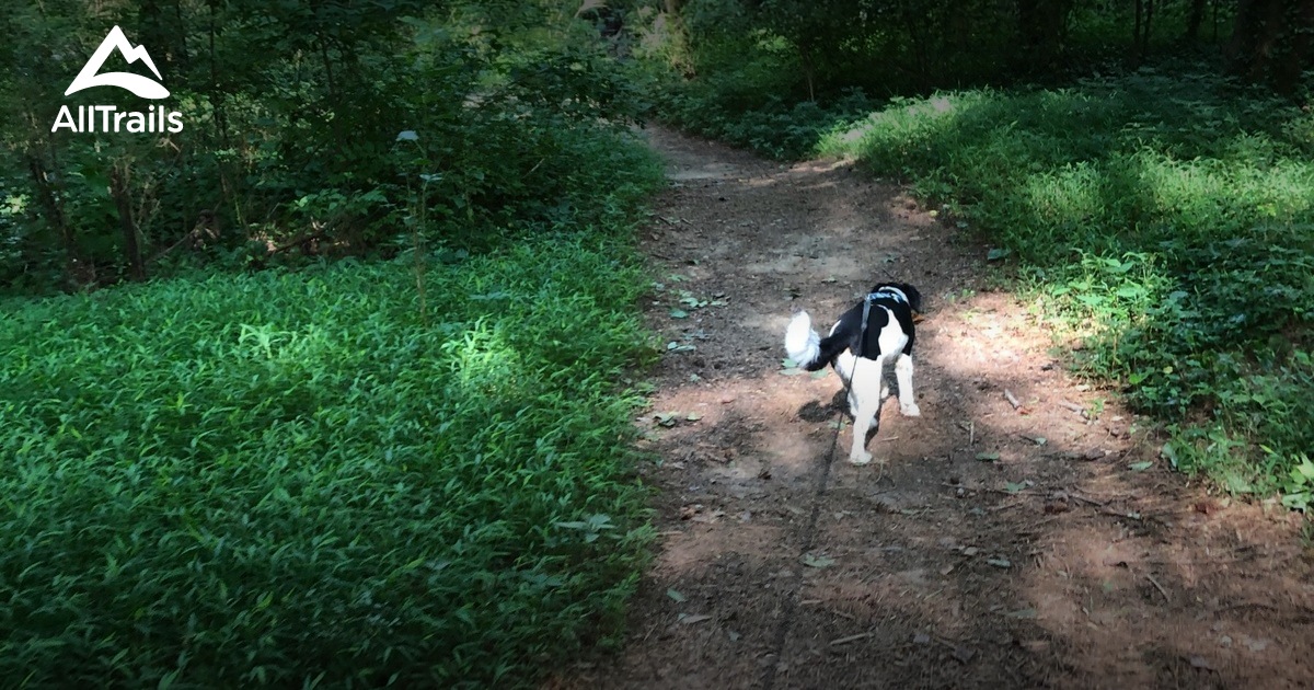 Best hikes and trails in Scottdale AllTrails