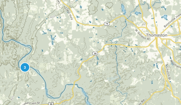 Thomaston, Georgia Map