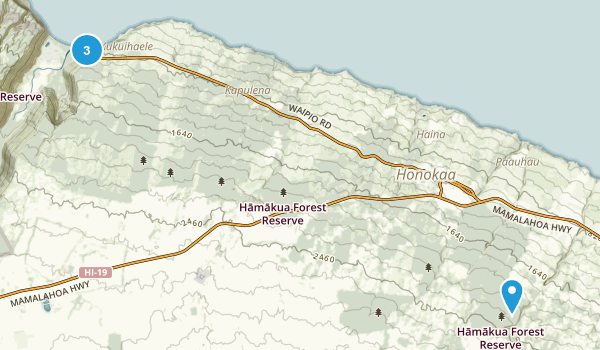 Honokaa, Hawaii Map