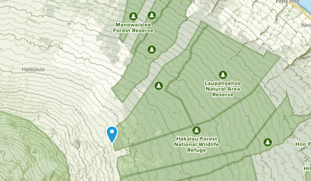 Laupahoehoe, Hawaii Map