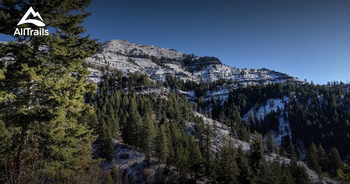 Best hikes and trails in Cambridge AllTrails