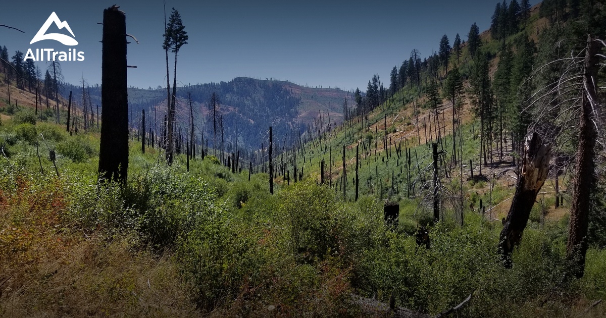 2023 Best Views Trails in Council AllTrails