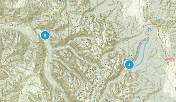 Grandjean, Idaho Map