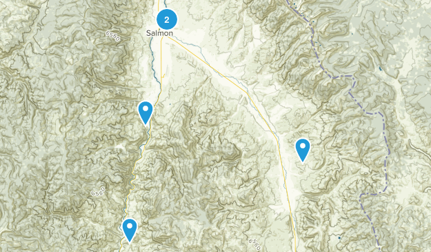 Salmon, Idaho Map