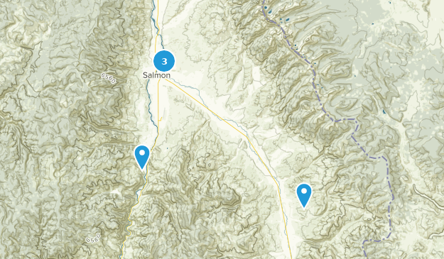 Salmon, Idaho Map