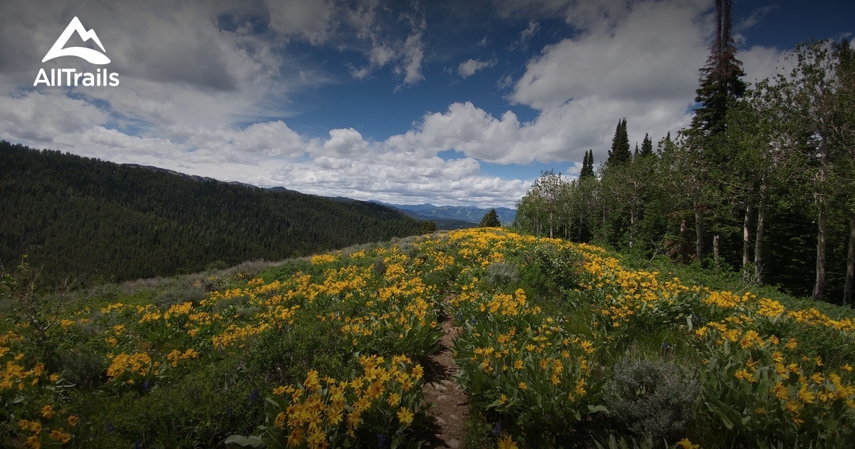 Hiking Trails in the Victor, NY Area Hiking Hacks