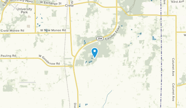 Beecher, Illinois Map
