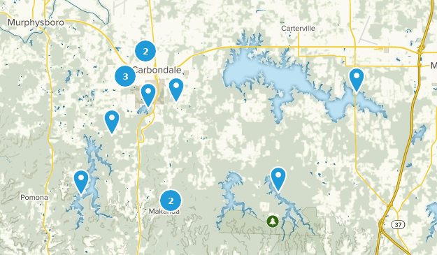 Carbondale, Illinois Map