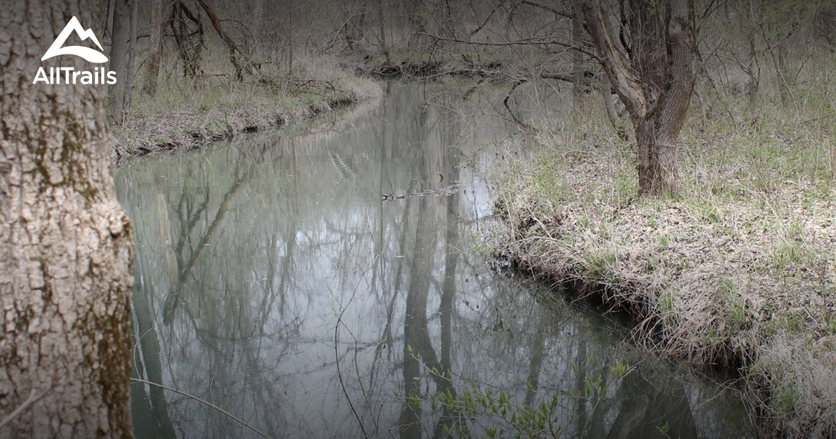 Best hikes and trails in Chatham AllTrails