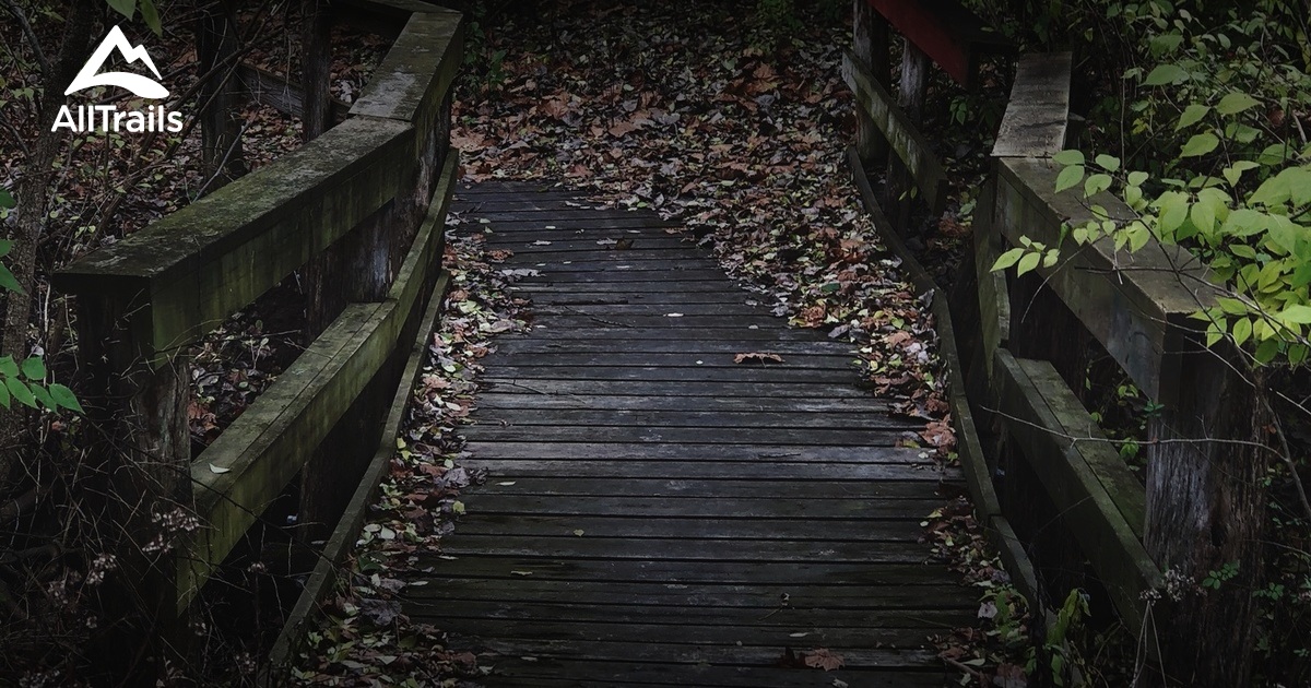 Best hikes and trails in Groveland AllTrails