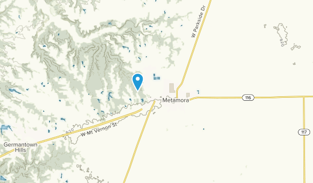 Metamora, Illinois Map