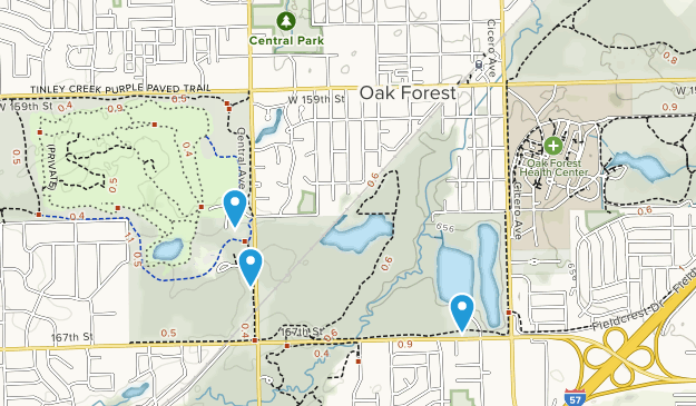 Oak Forest, Illinois Map