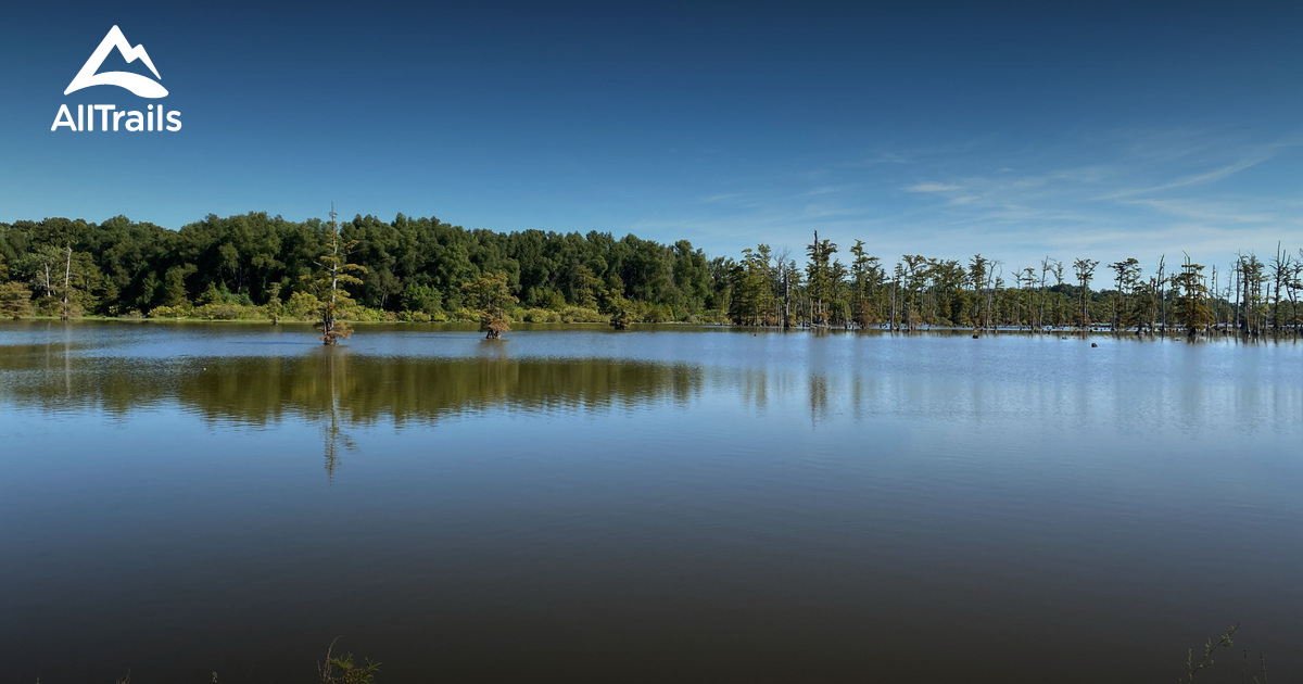 2023 Best Forest Trails in Olive Branch AllTrails