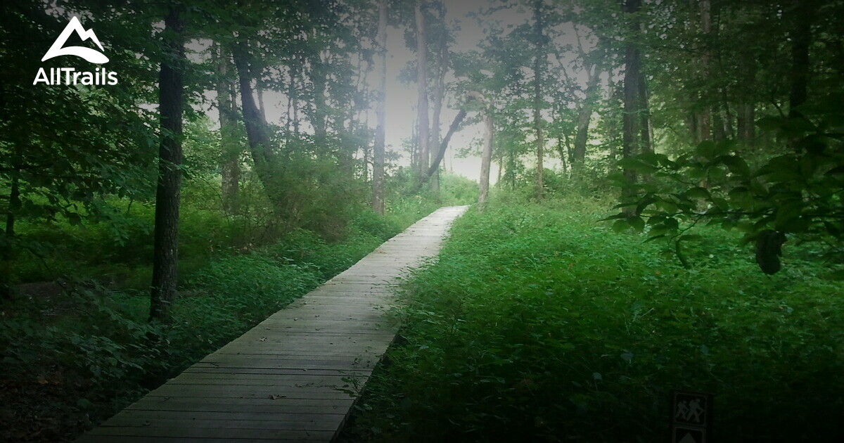Best hikes and trails in Brownstown | AllTrails