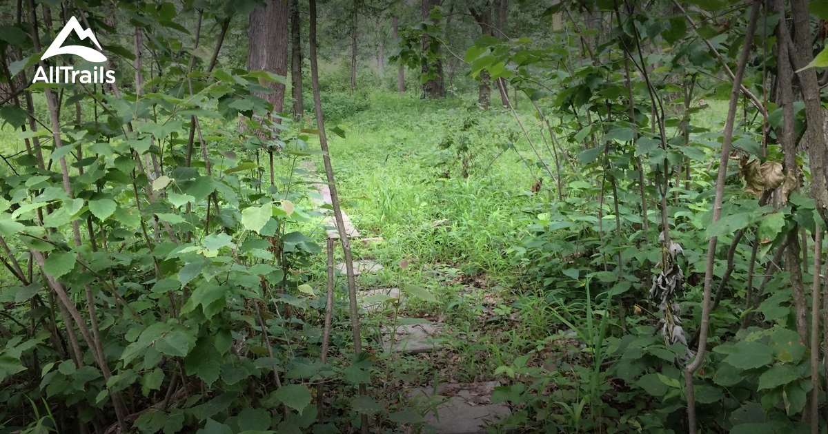 Best hikes and trails in Mount Ayr AllTrails