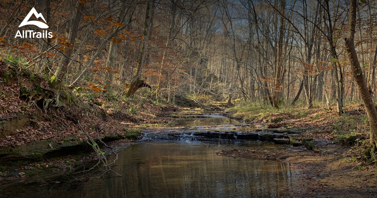 Best hikes and trails in Taswell AllTrails