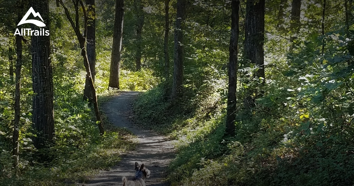 10 Best trails and hikes in Cadiz AllTrails