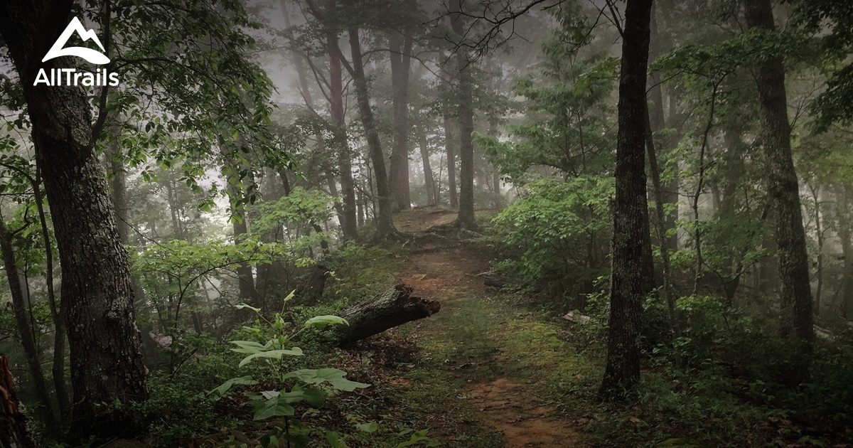 Best Trails near Prestonsburg, Kentucky | AllTrails